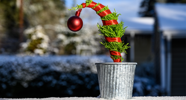 THE GRINCH – GETTING BEYOND POOR IMPRESSIONS